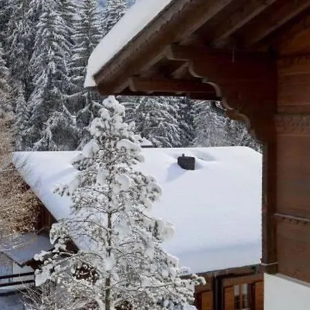Διαμέρισμα Schonried Sleeps 8 Wifi Γκστάαντ