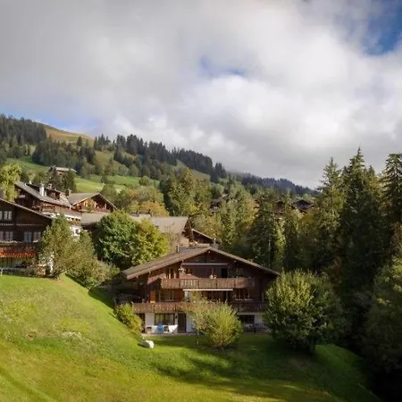 Schonried Sleeps 8 Wifi