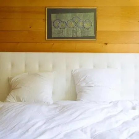 Schonried Sleeps 8 Wifi Διαμέρισμα Γκστάαντ